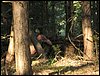 IMG_1415.jpg