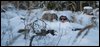 20110128-DSC_0227.jpg
