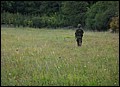 IMG_2936a.jpg