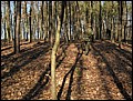 IMG_3673a.jpg