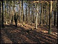 IMG_3674a.jpg