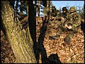 IMG_3707a.jpg