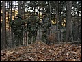 IMG_3755a.jpg