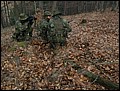 IMG_3761a.jpg