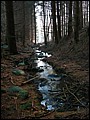 IMG_0612a.jpg