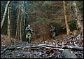 IMG_0621a.jpg