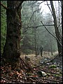 IMG_0628a.jpg