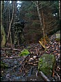 IMG_0630a.jpg