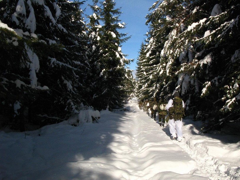 IMG_8684.jpg