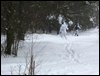 IMG_8620.jpg