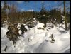 IMG_8667.jpg