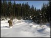IMG_8690.jpg