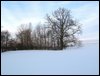 IMG_8697.jpg