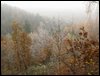 IMG_8265.jpg