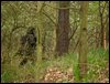 IMG_9177.jpg