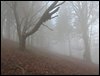 IMG_5603a.jpg
