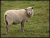 IMG_5671a.jpg