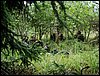DSC07580.jpg