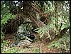 DSC07581.jpg