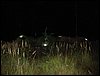 DSC07597.jpg