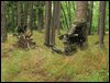 tnIMG_0537.jpg