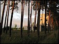 IMG_01_1652a.jpg
