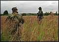 IMG_03_1578a.jpg