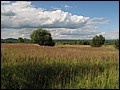 IMG_05_1631a.jpg