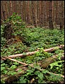 IMG_08_1586a.jpg