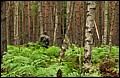 IMG_09_1579a.jpg