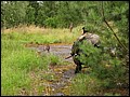 IMG_11_1599a.jpg