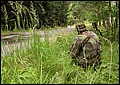 IMG_13_1603a.jpg