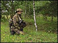 IMG_17_1618a.jpg