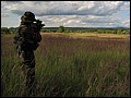 IMG_20_1632a.jpg