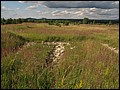 IMG_21_1635a.jpg