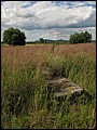 IMG_22_1630a.jpg