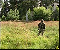 IMG_23_1636a.jpg