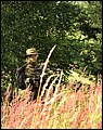 IMG_24_1646a.jpg