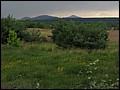 IMG_25_1650a.jpg