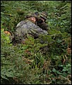 IMG_36_1719a.jpg