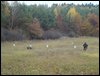 DSC02537.jpg