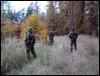 DSC02655.jpg