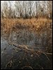 IMG_6473.jpg