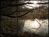 IMG_6476.jpg