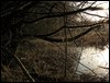 IMG_6477.jpg