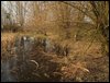 IMG_6479.jpg