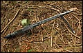 IMG_2982a.jpg