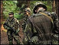 IMG_2988a.jpg
