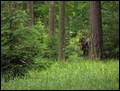 IMG_4410a.jpg