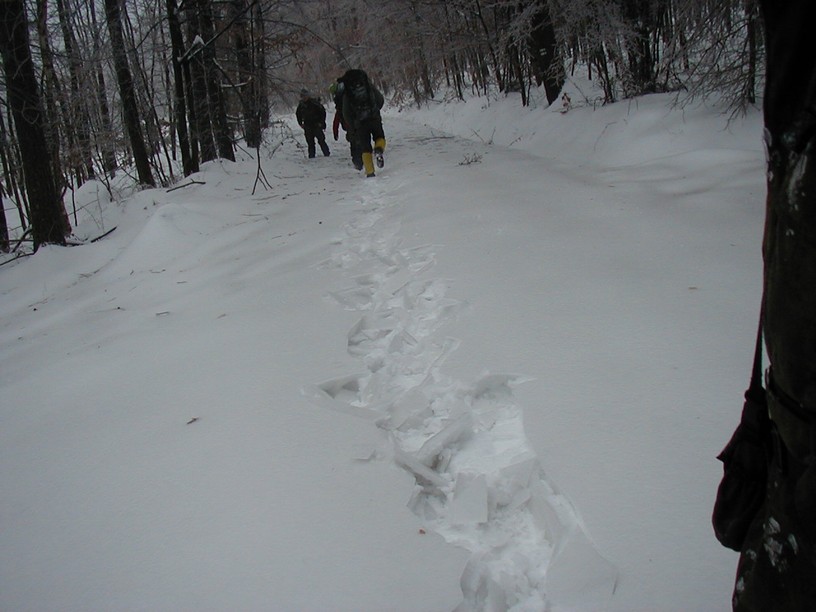 survive_2010_018.jpg